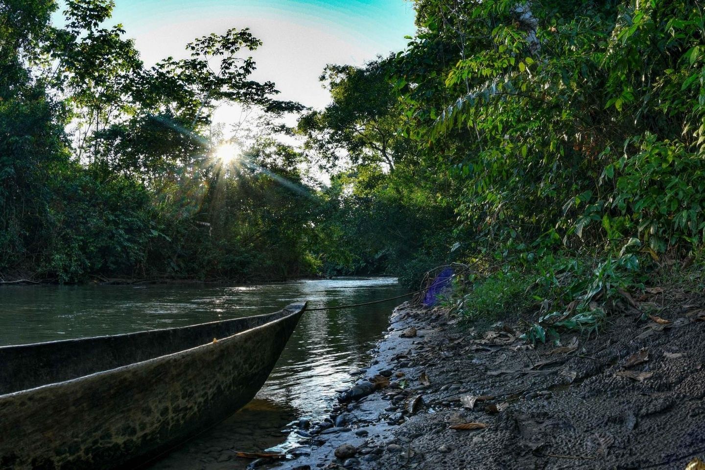 Paths of Wisdom: Ancestral Traditions of the Indigenous Cultures. SEP