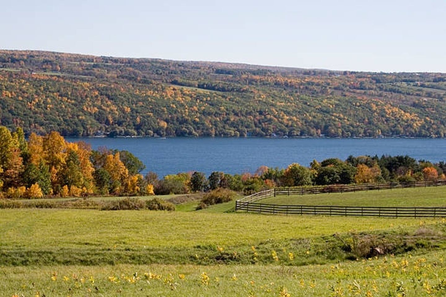 NY Finger Lakes