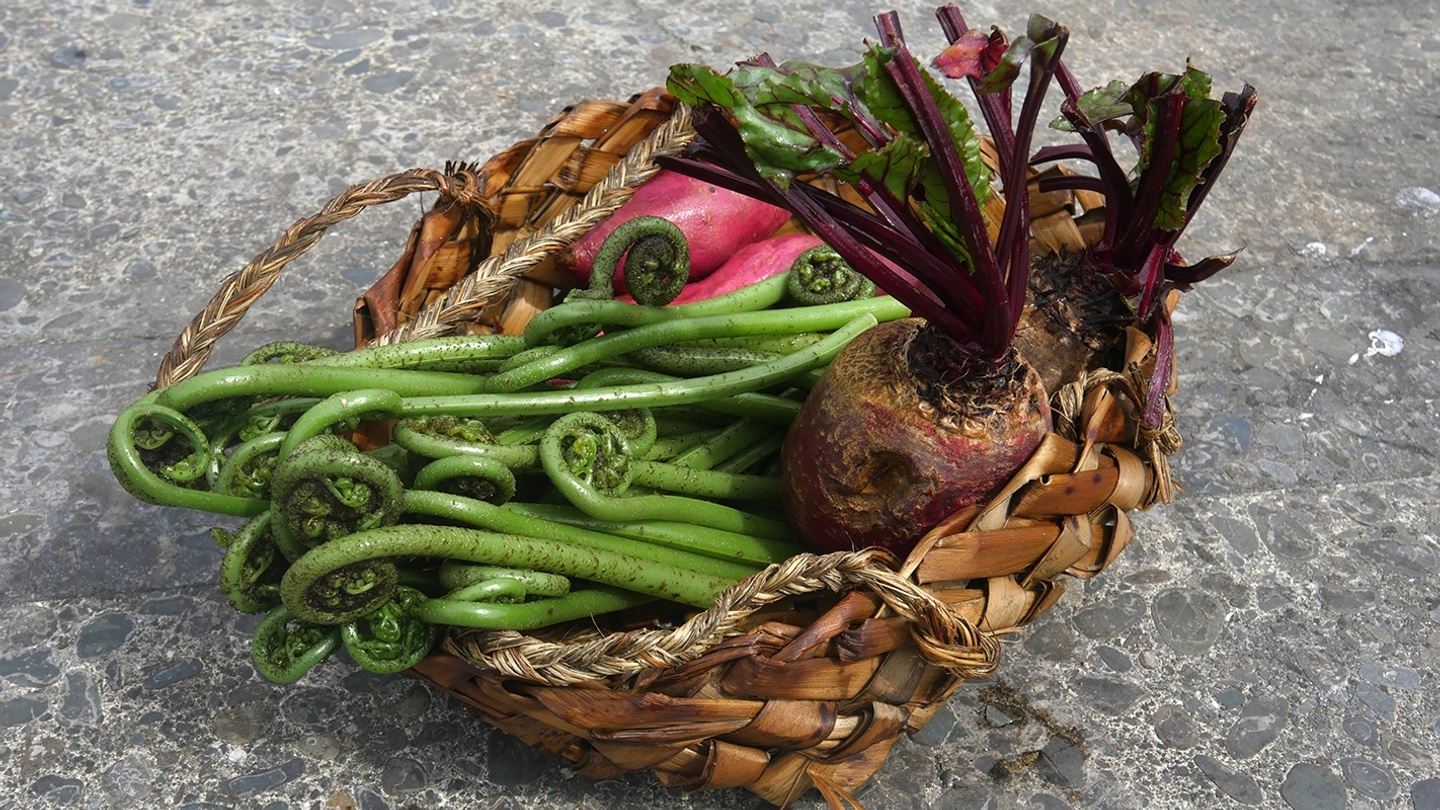 New Zealand — Aotearoa: Cultures & Flavors