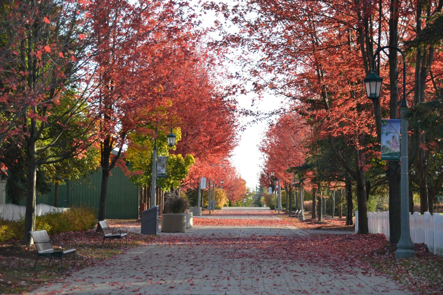 September 25-26-27, 2026 (3 Day Mystery Trip)