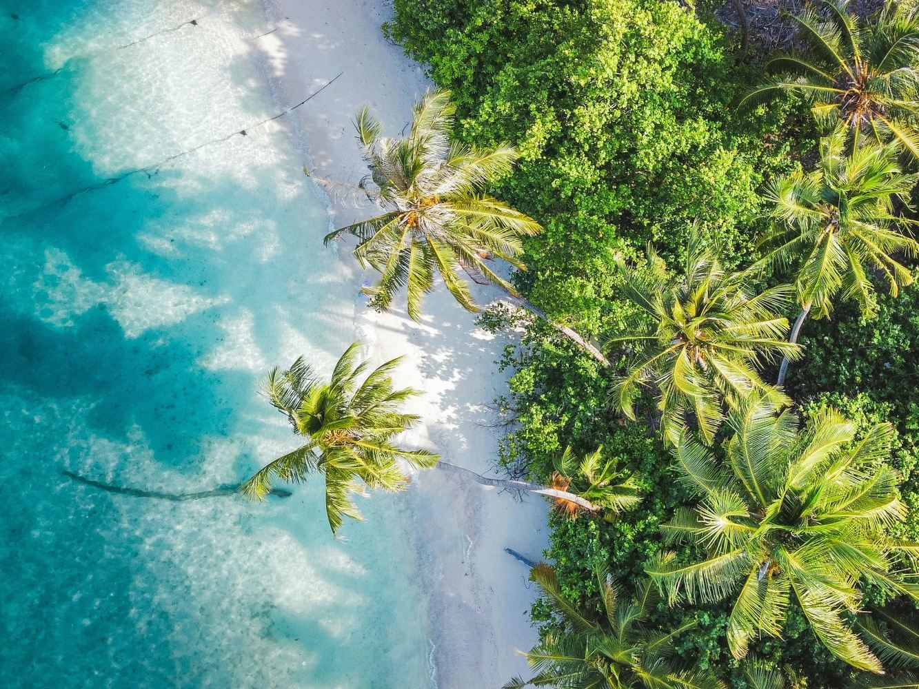MALDIVES | Salty New Year's 2027