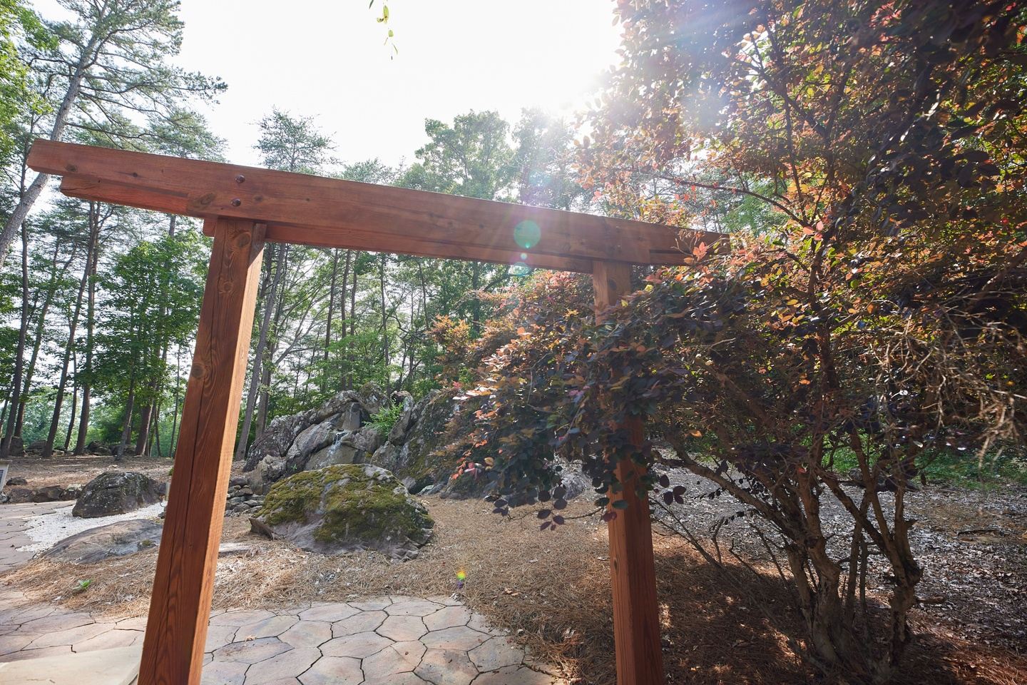A Day for the Soul: Experiencing God through Interactive Gratitude