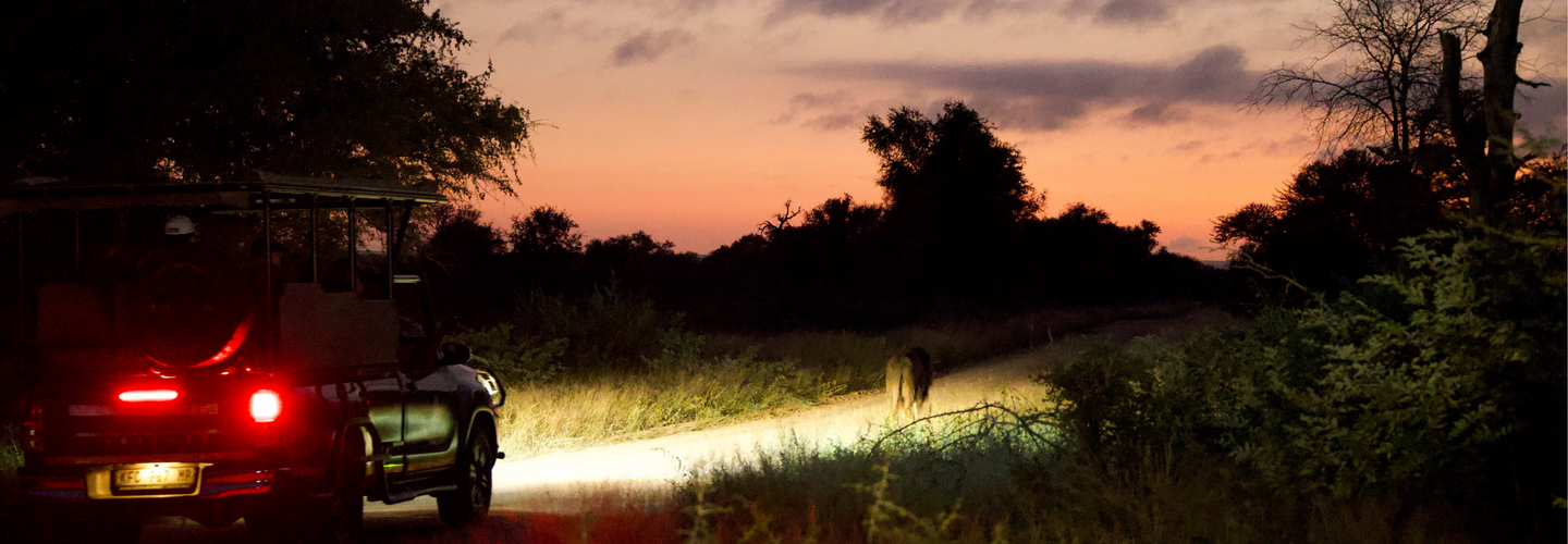 Golf & Safari