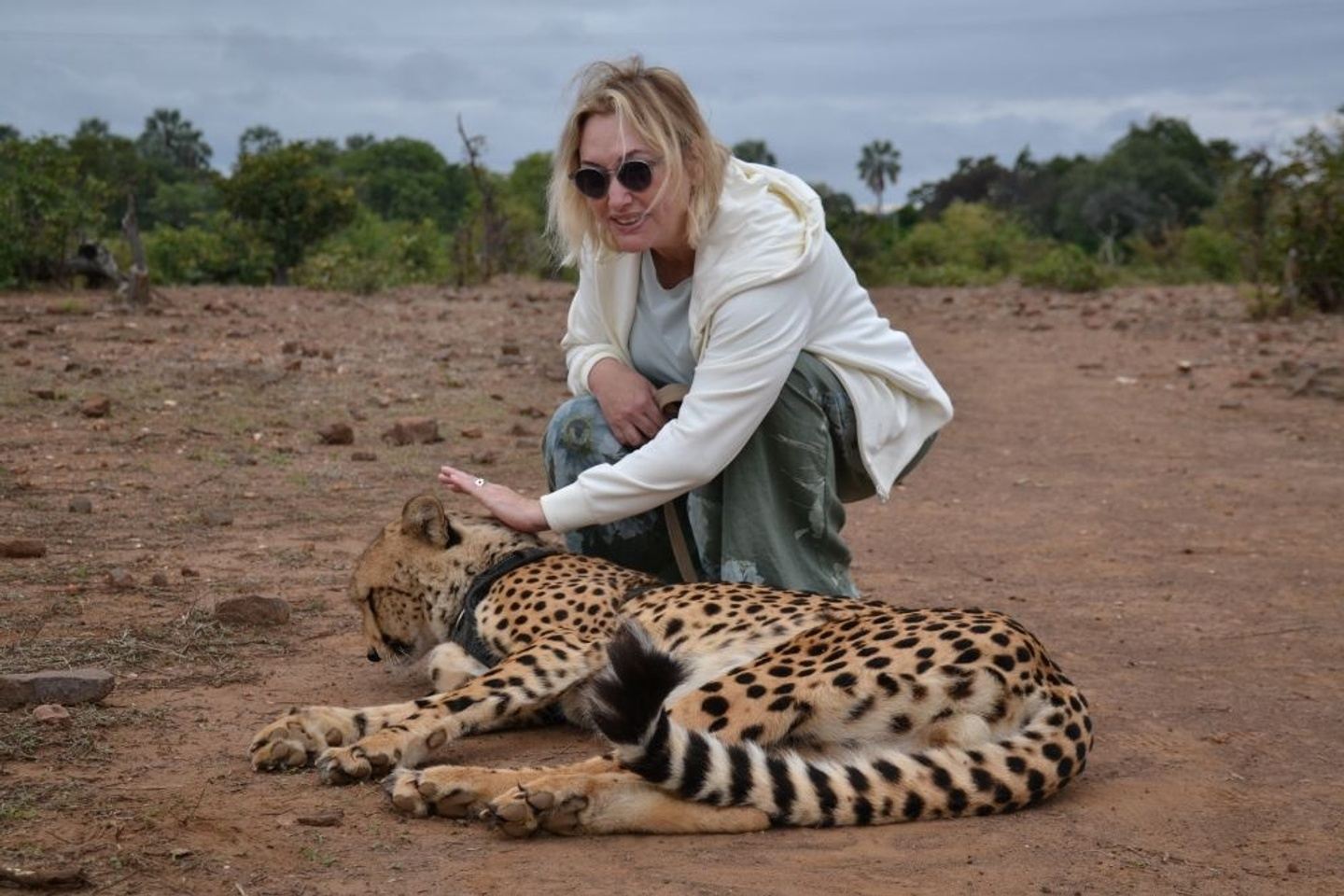 Cheetah Walk Experience - Victoria Falls
