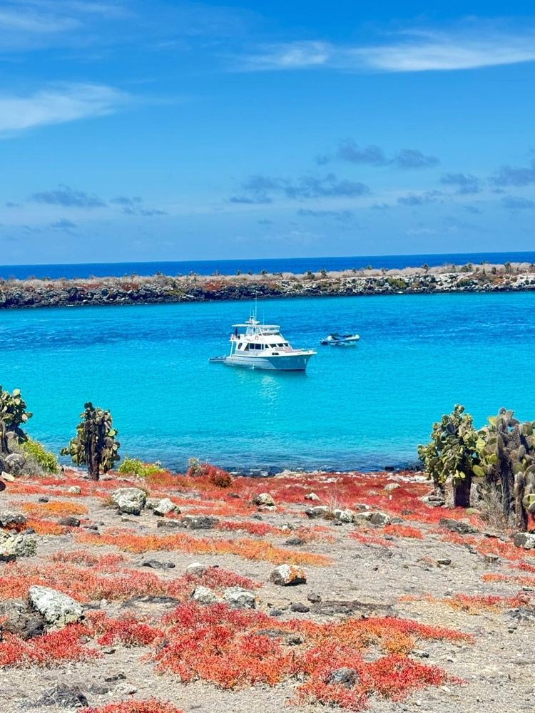 Galapagos Adventure