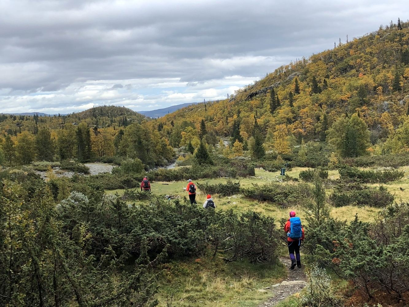 Valkyries and Vikings: Hiking Norway
