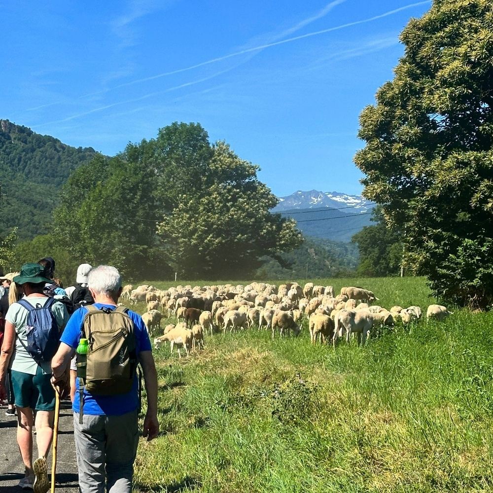 Chemin de la Liberté Introductory Walking Holiday