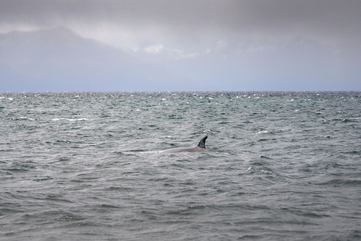 Kayak en el último Faro