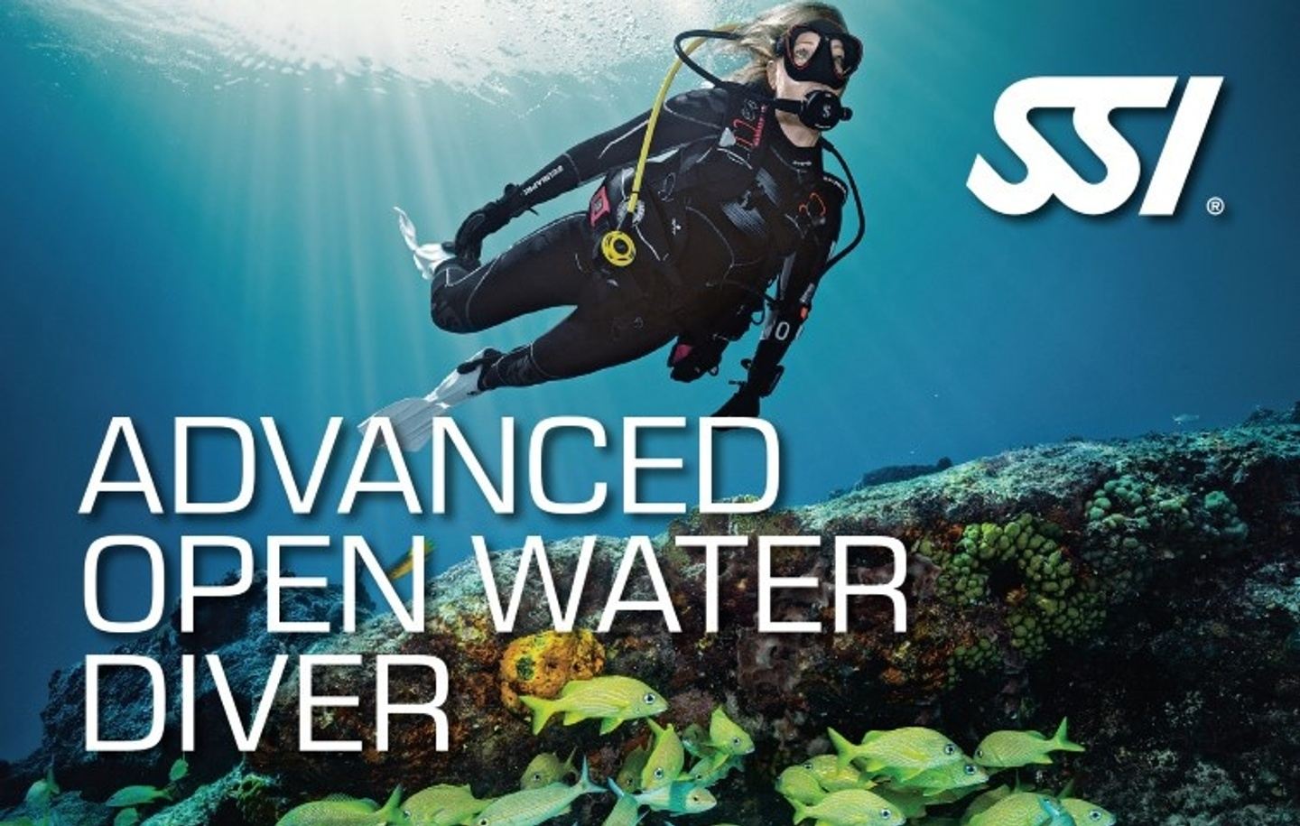 SSI Advanced Openwater Diver - Online Only