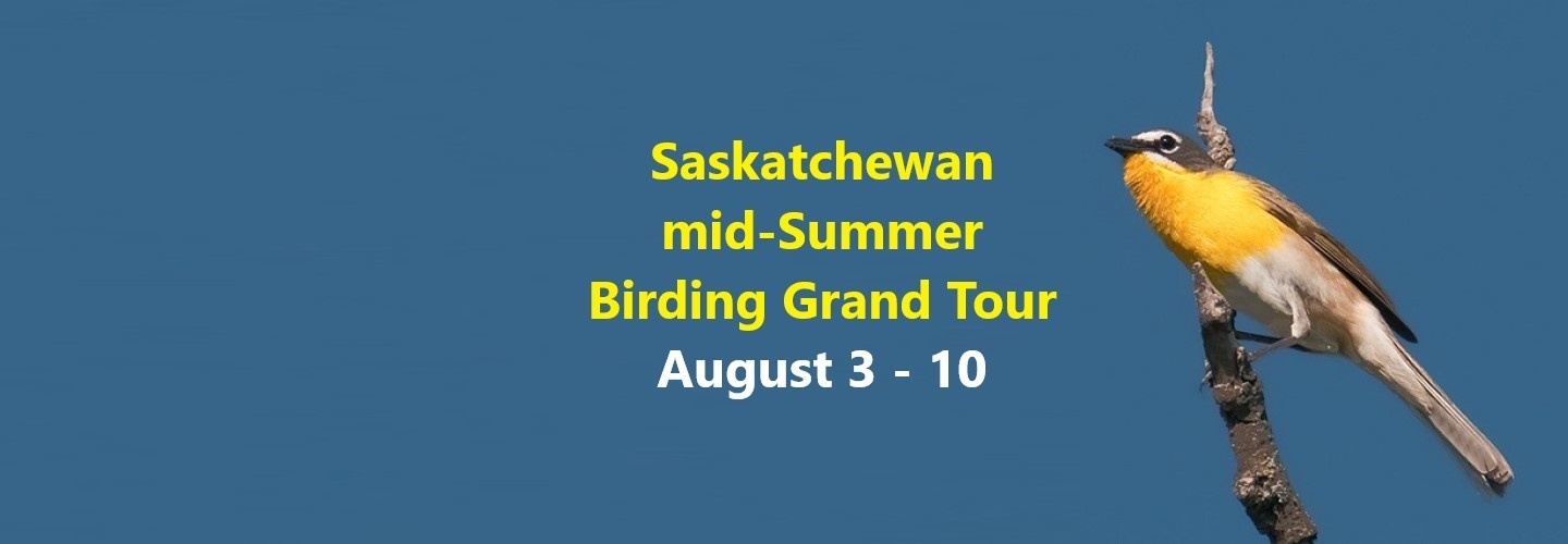 Canada – Saskatchewan Mid-Summer Birding Grand Tour