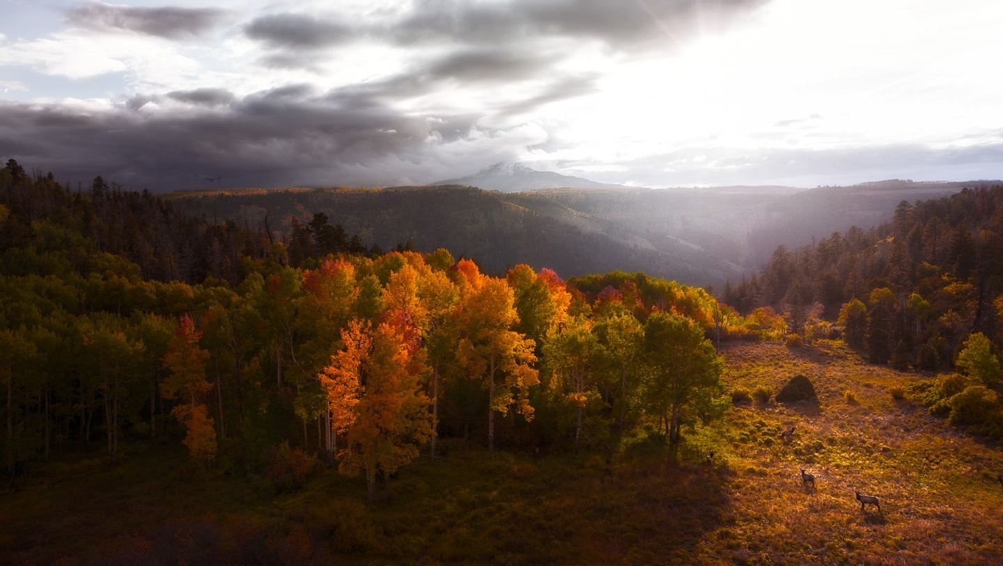 Colorado Fall Colors