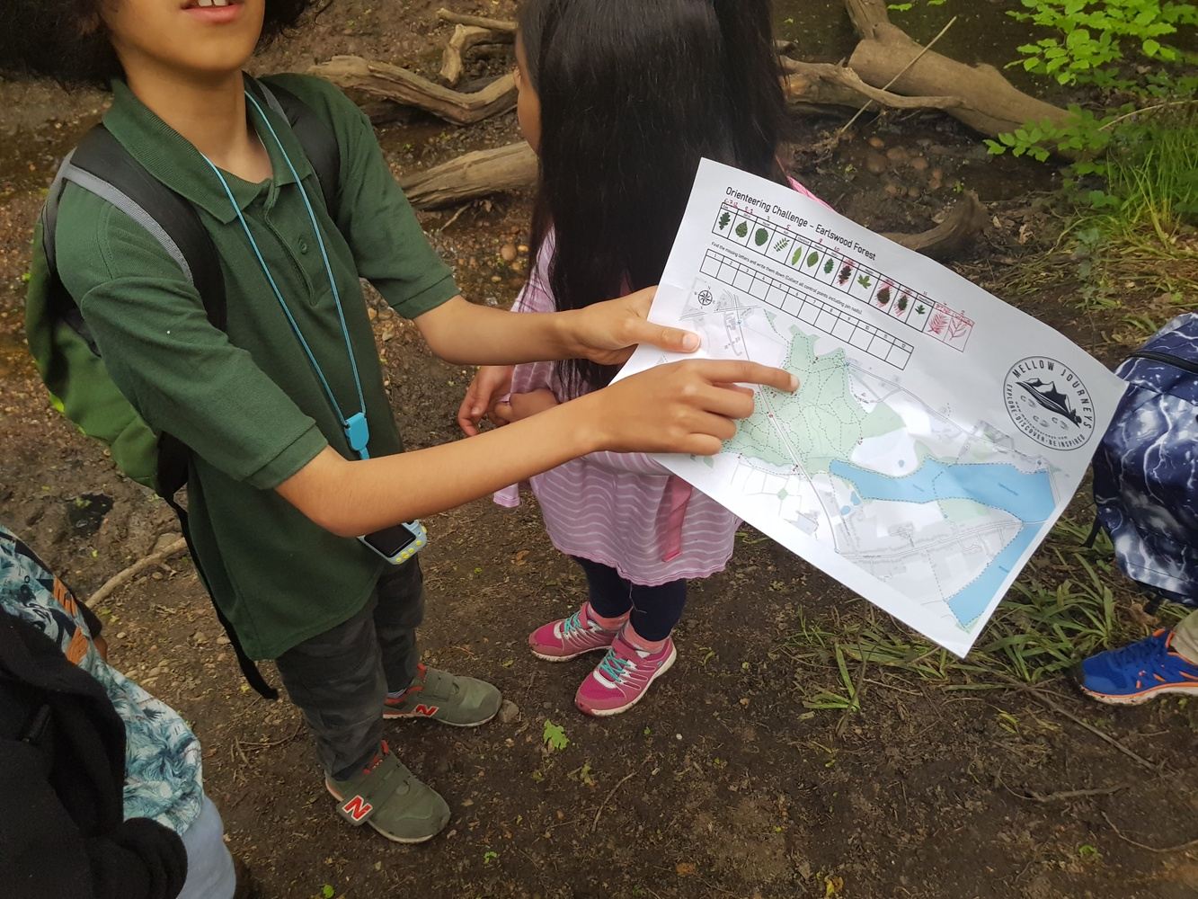 Outdoor Orienteering & Campfire Adventure: The Tree Treasure Hunt