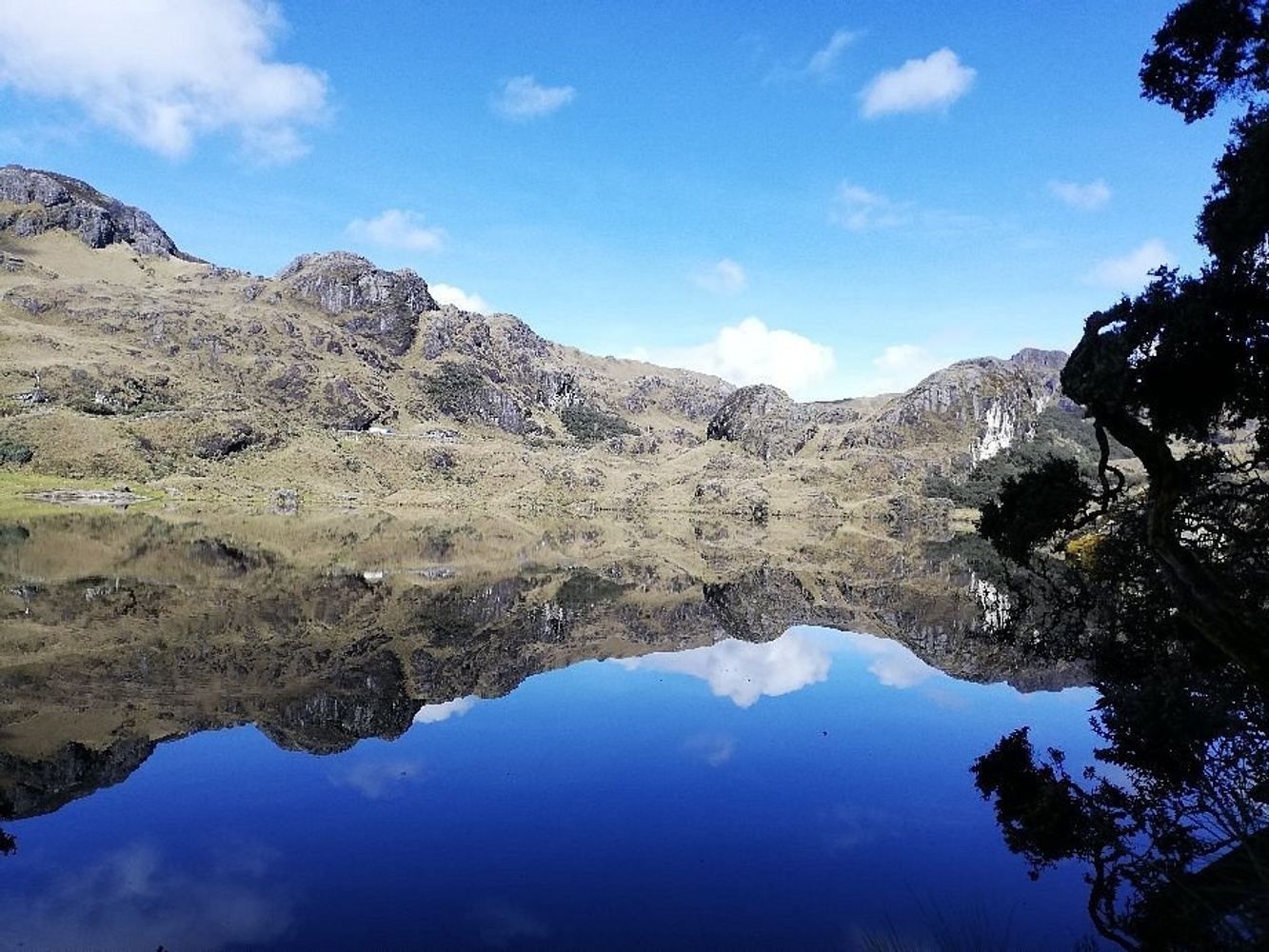 CAJAS NATIONAL PARK + CUENCA CITY TOUR
