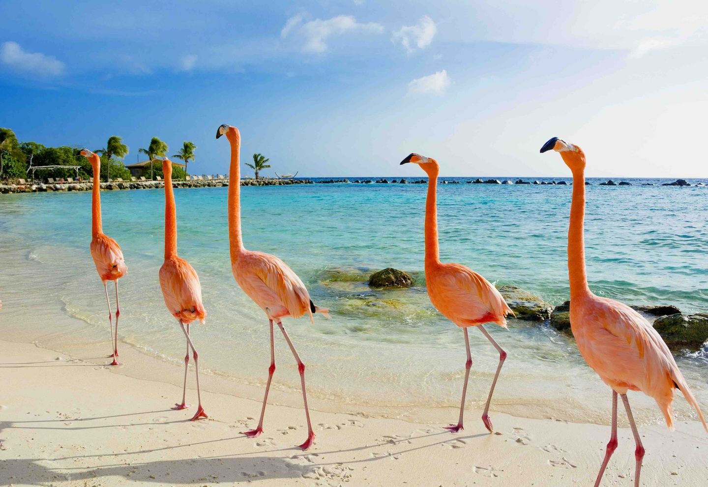 Aruba Reading Retreat