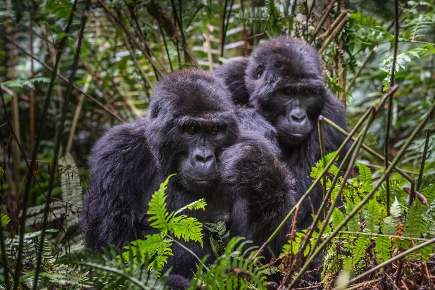 Uganda September 2024.