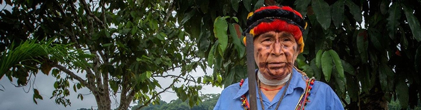 Rainforest Immersion January 2022  - ($3,895)