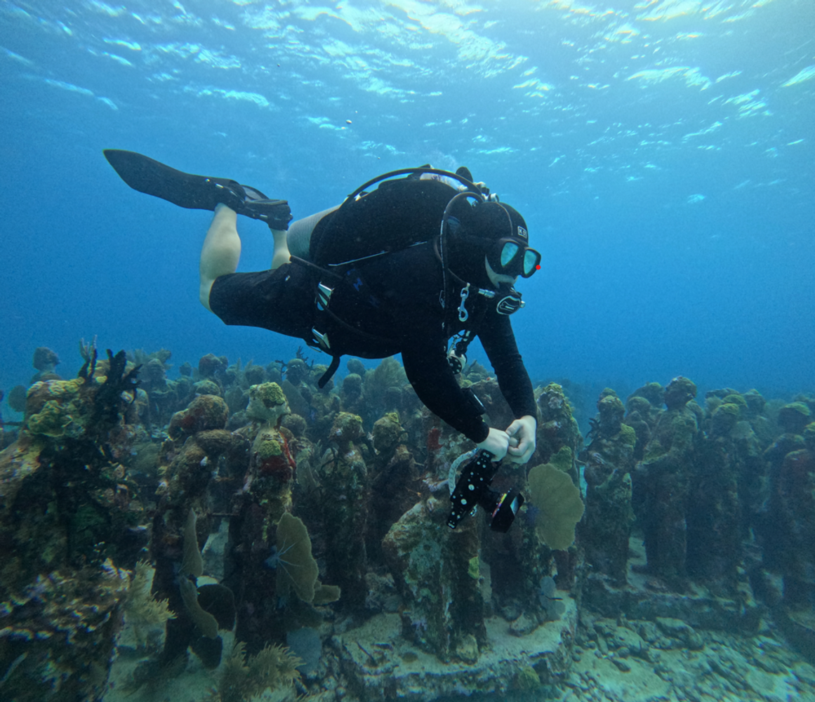 MUSA & Reef - Certified divers