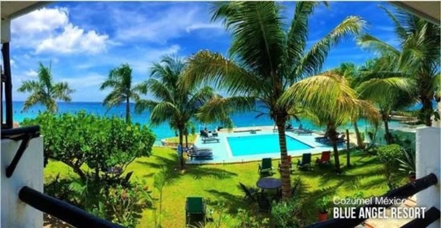 Blue Angel Dive Resort, Cozumel. Dec 5th-12th 2026