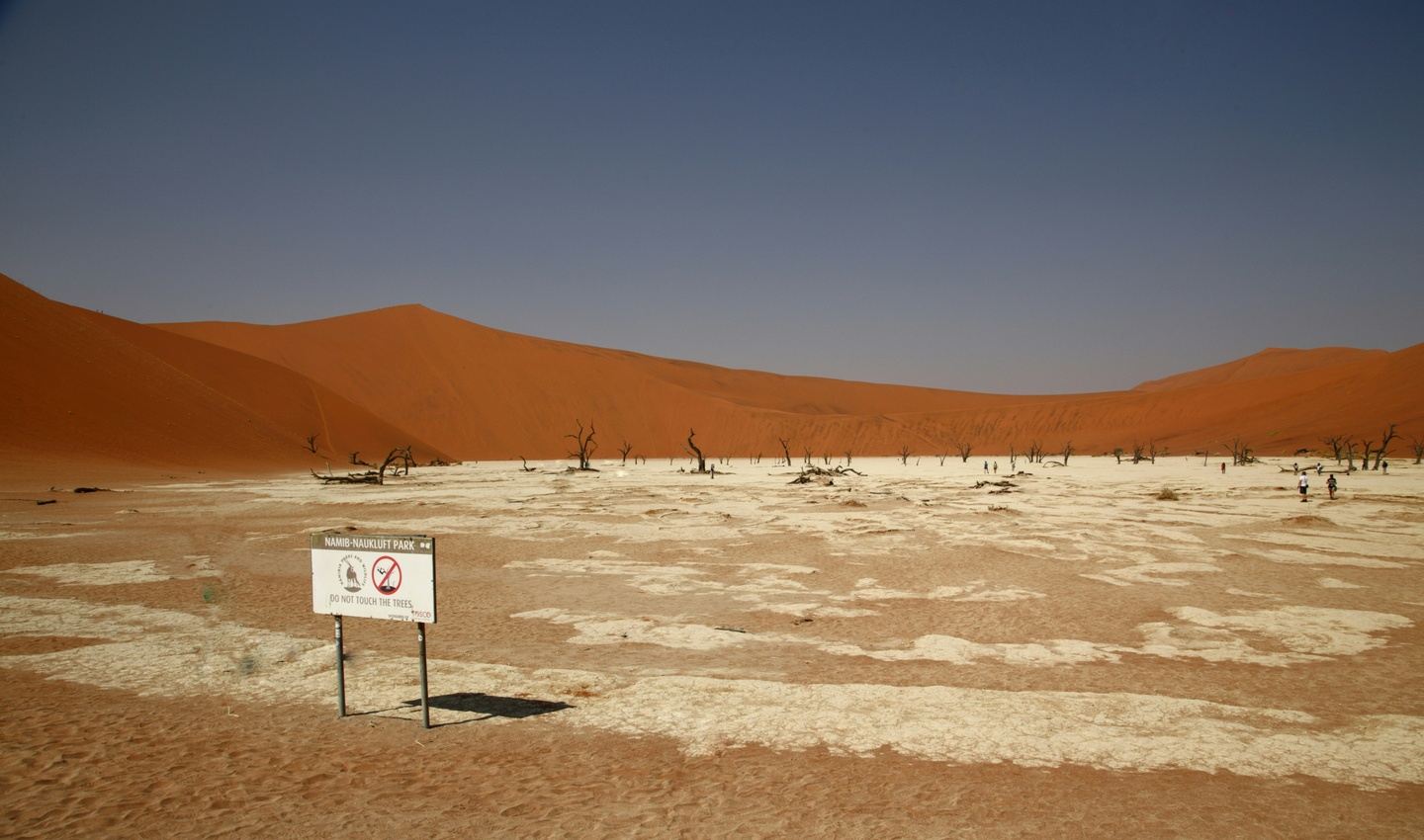 13-Day Deadvlei desert, Okavango, Chobe NP, Moremi NP & Victoria falls