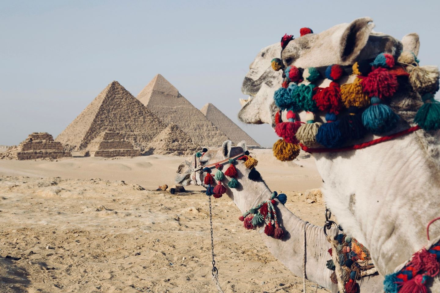 Epic Egypt Trip