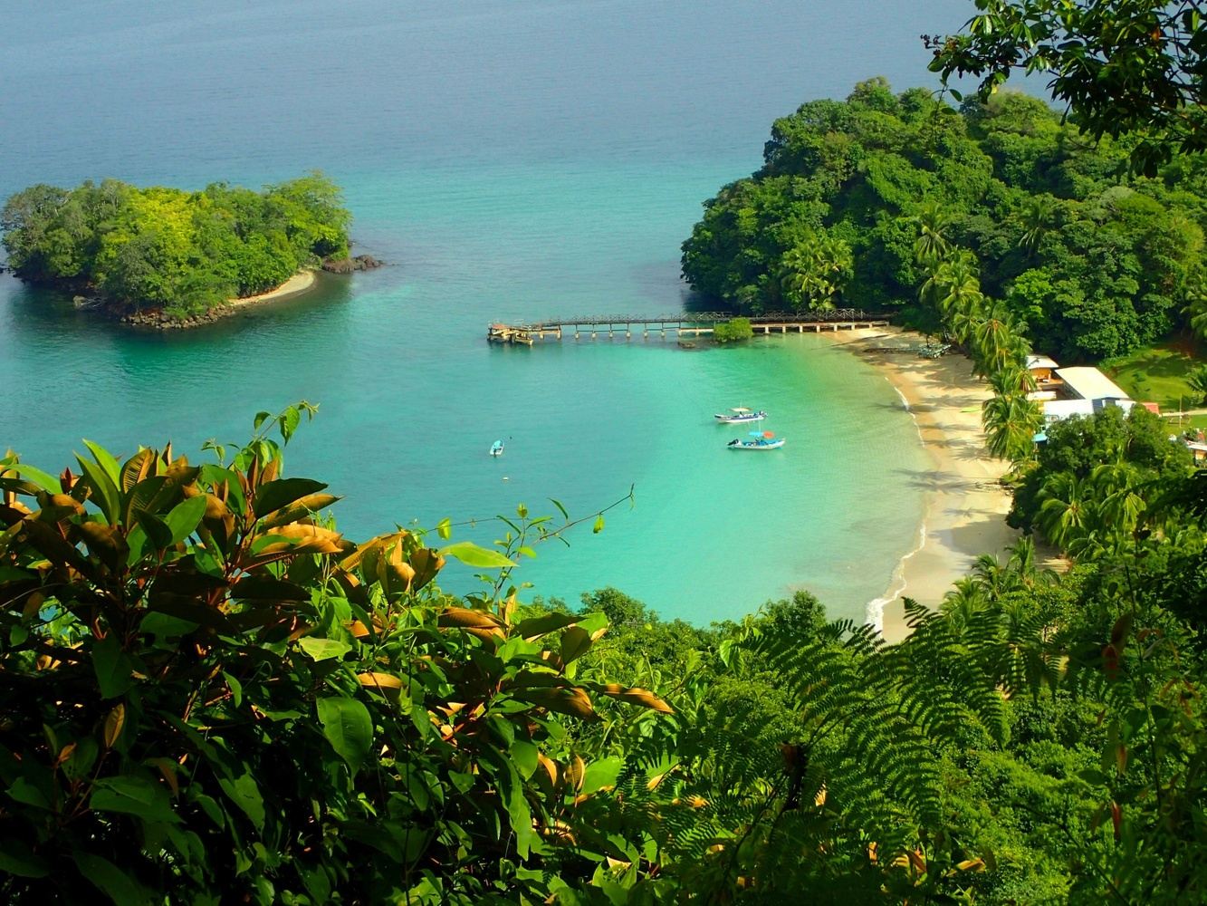 Escapada | Panama | 8 nights - Feb 13th-21st, 2027 - 1 LEFT!