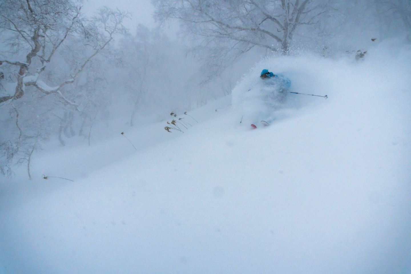 Hakuba Steeps