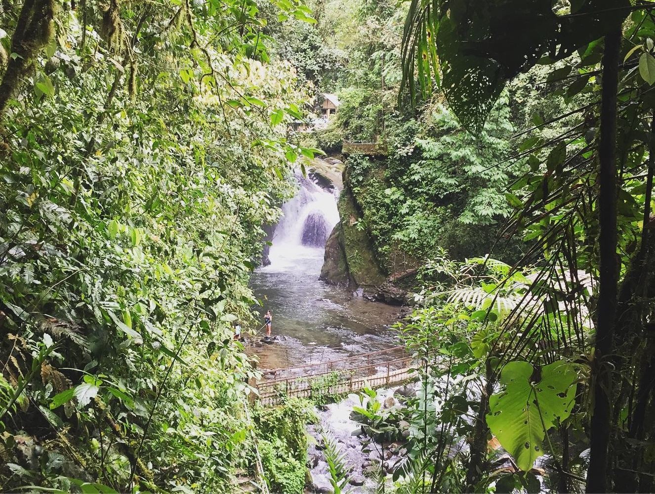 NATURE AND ADVENTURE "MINDO CLUOD FOREST"
