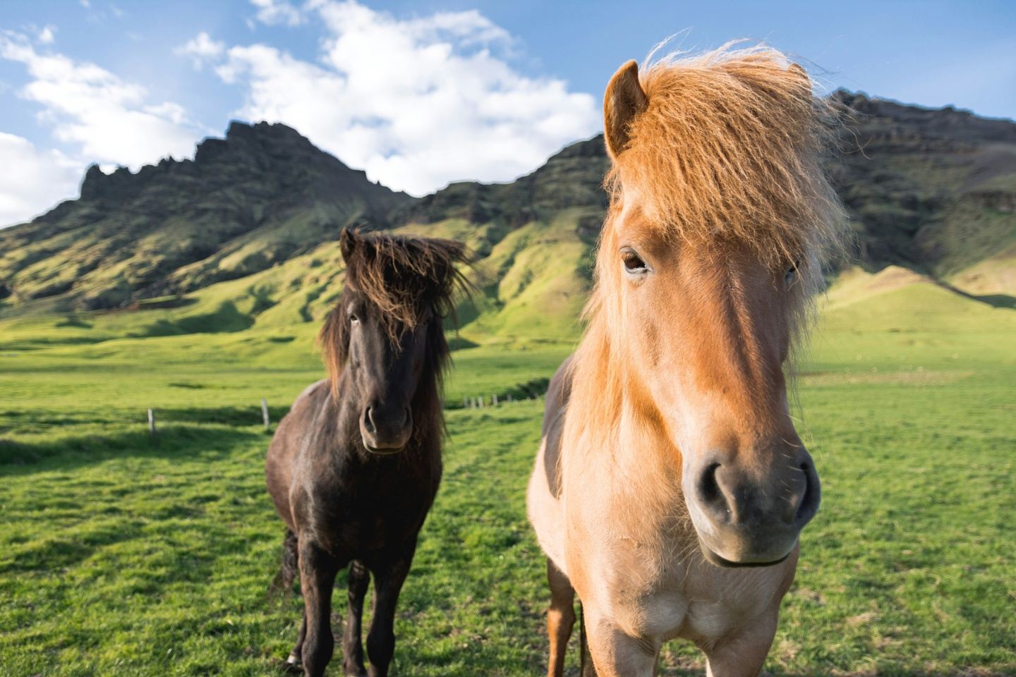 No Ordinary Escape: Iceland Girls Trip || 2027
