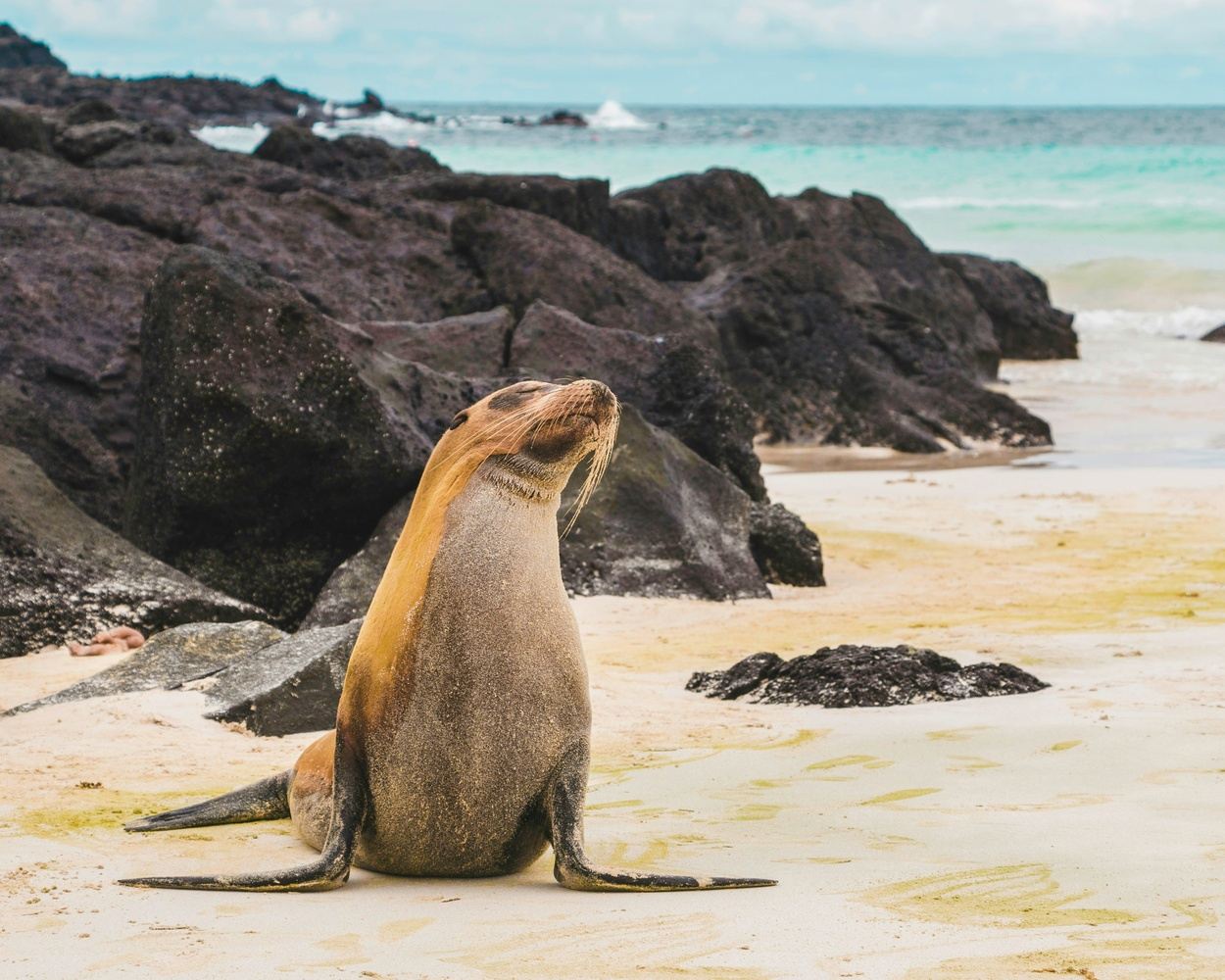 The Galapagos Catamaran Charter
