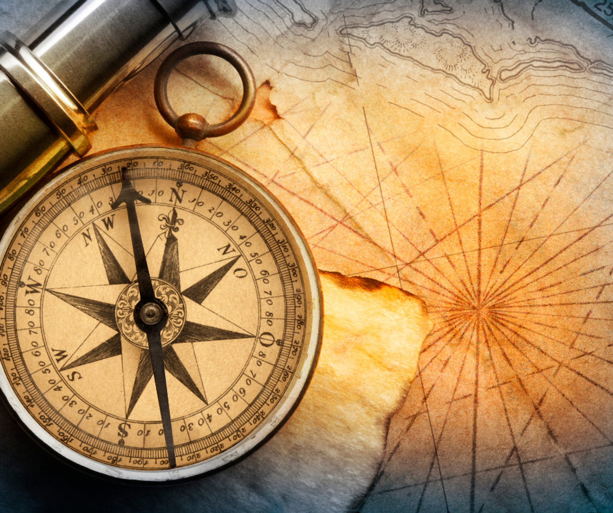 Wild Alignment: 12 Hour Retreat August 8th