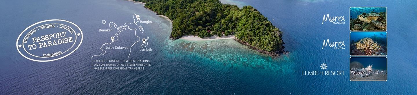 Passport 2 Paradise