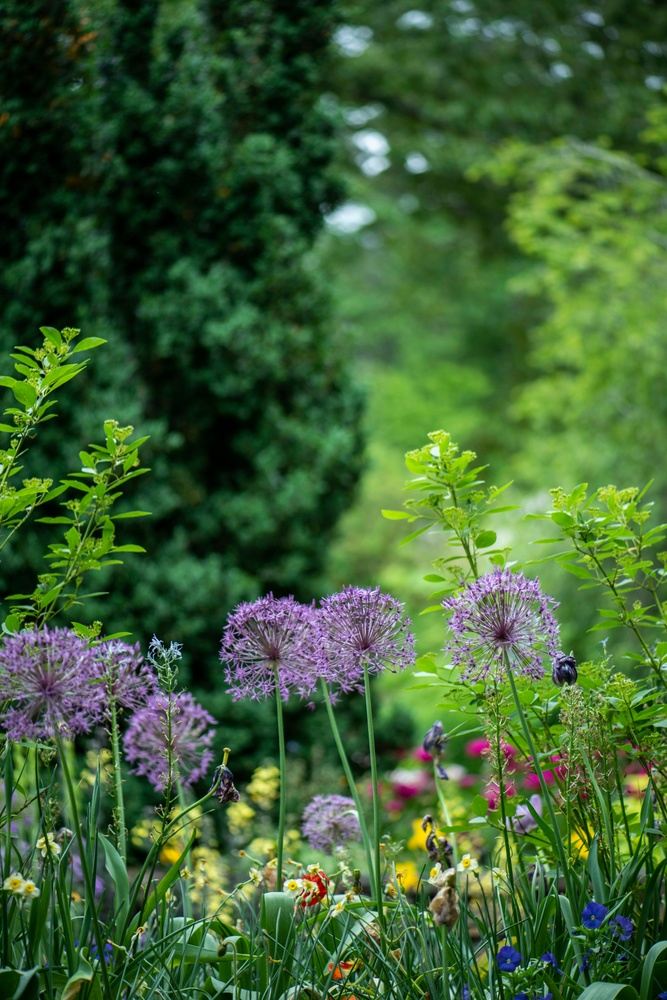 VIP guided tour: Hidden remarquable gardens of the Loire valley France