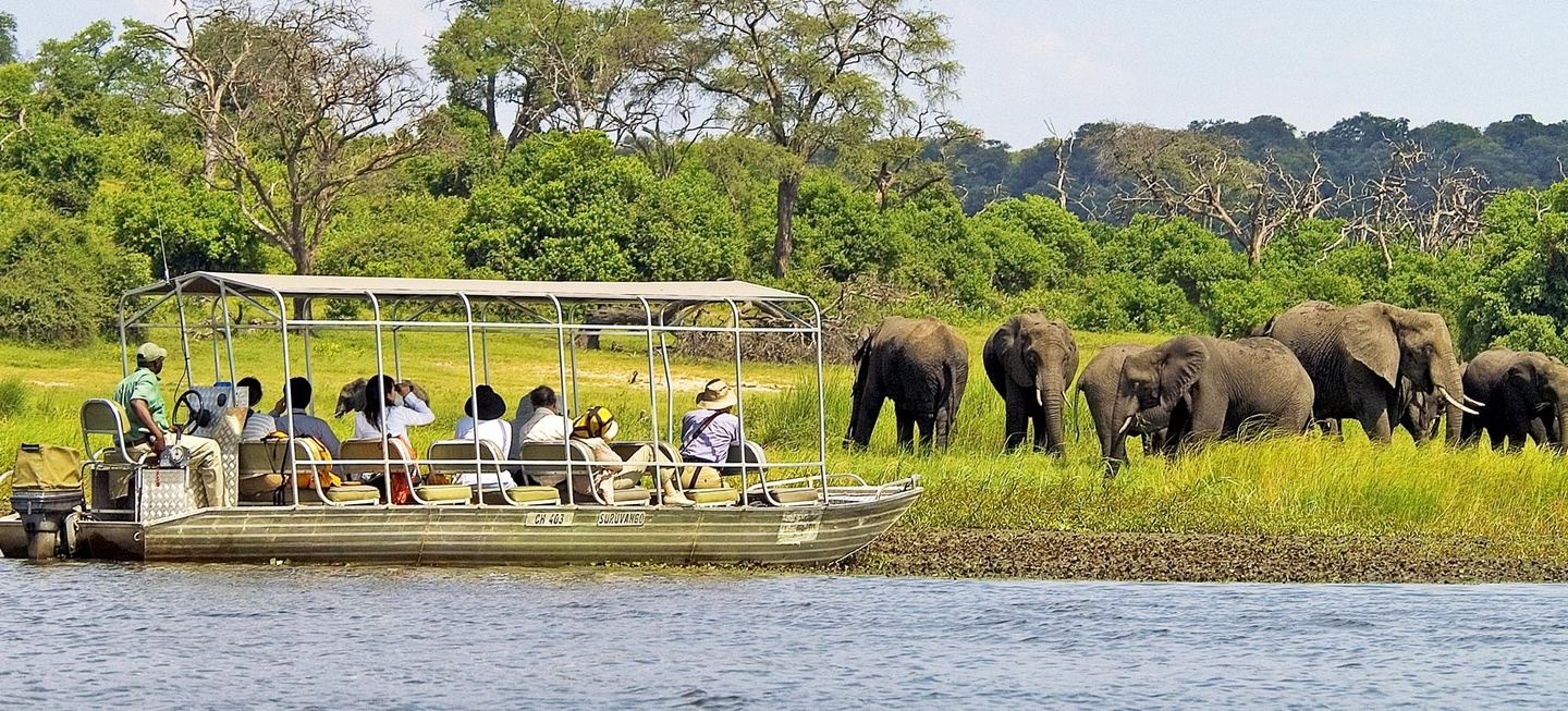 Chobe Day Trip from Victoria Falls (copy)