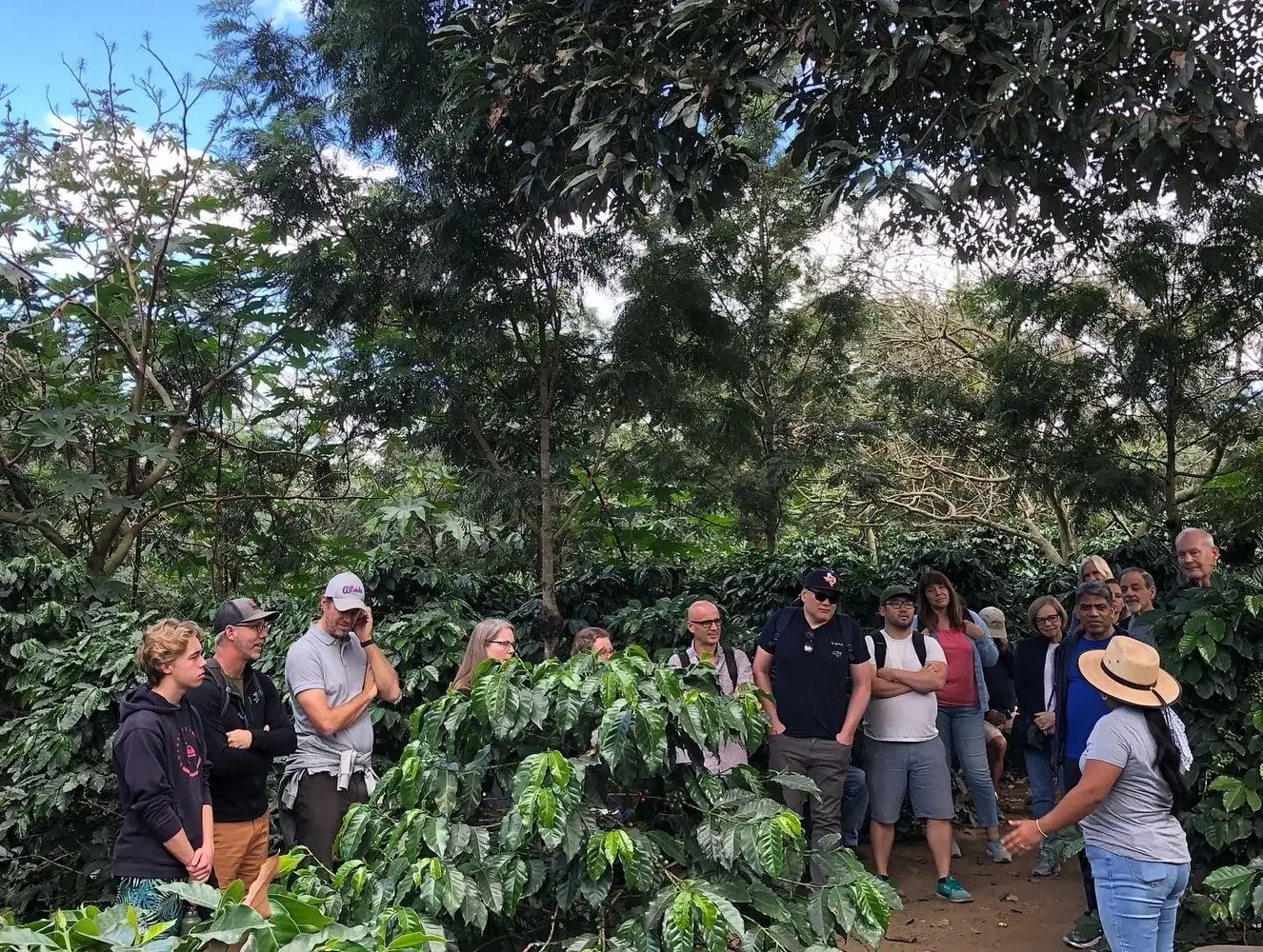 Tour del café en Antigua Guatemala