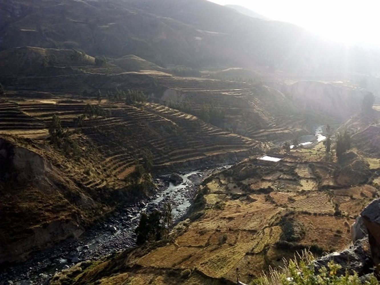 Colca Canyon Tour from Arequipa to Puno 3 Days/ 2 Nights