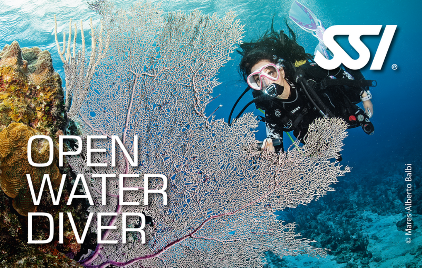 SSI Referral,  the 4 last dives of your Open Water Certification