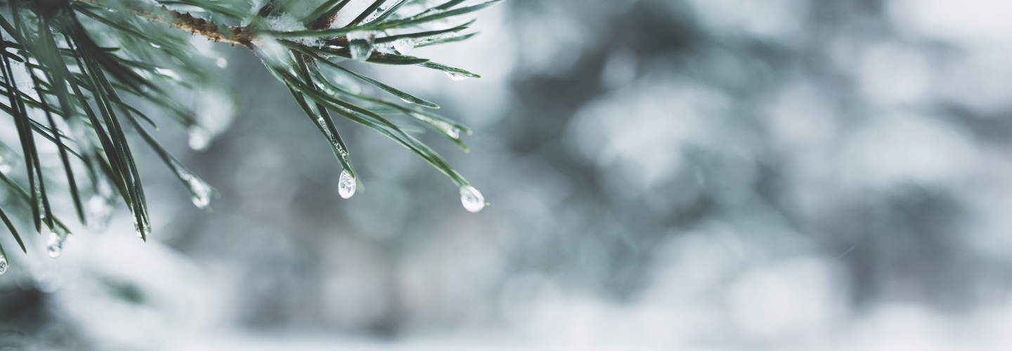 Servant Love: Winter Marriage Retreat
