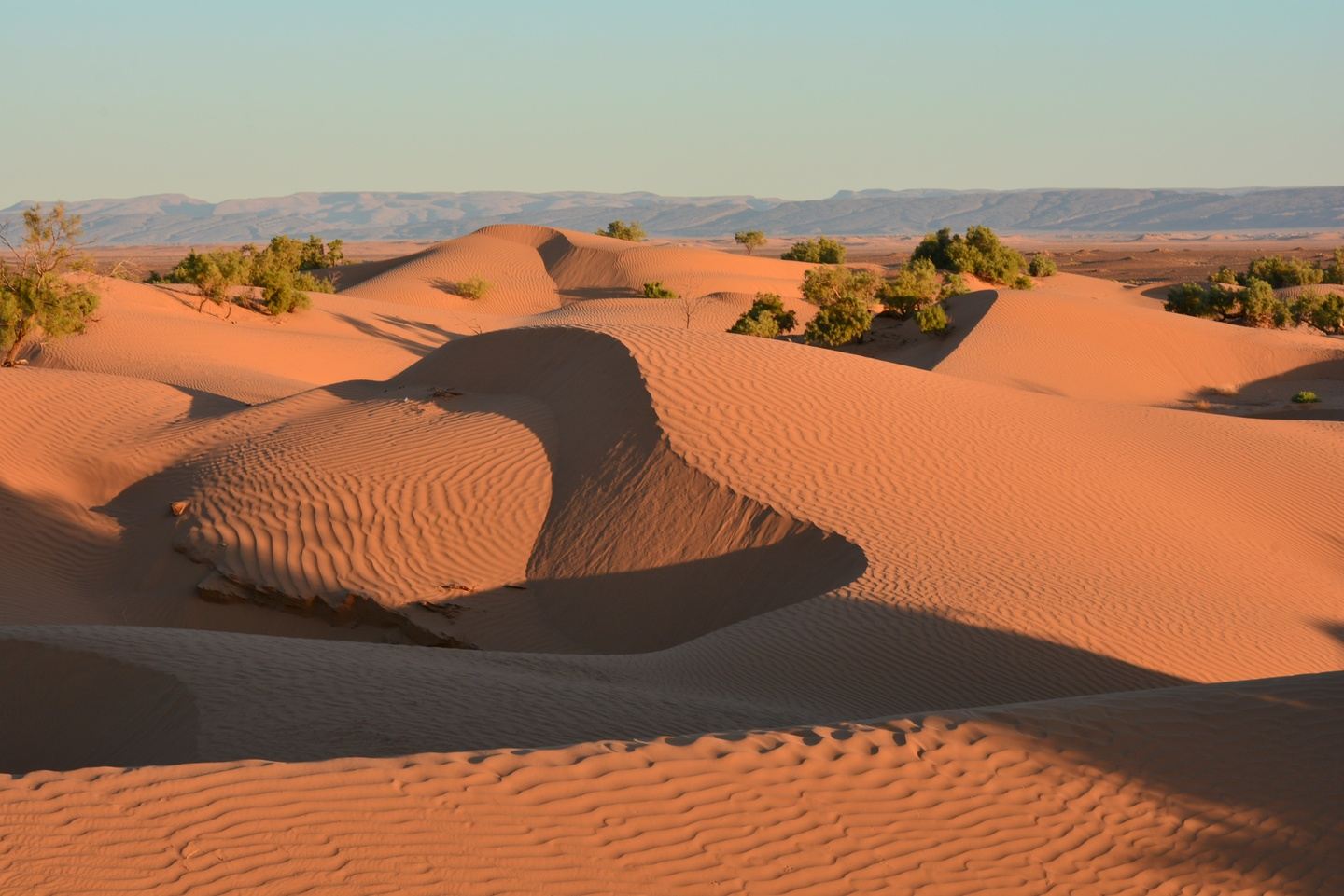 Sahara Desert tour | 7 days - 5 days riding