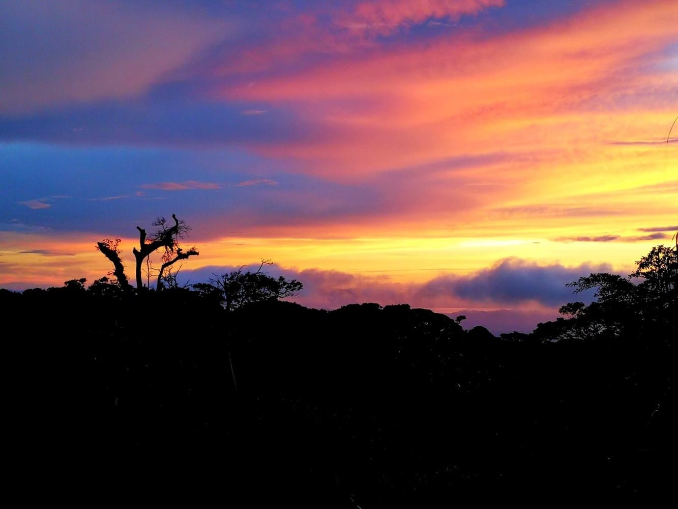 Tour al amanecer y caminata con desayuno