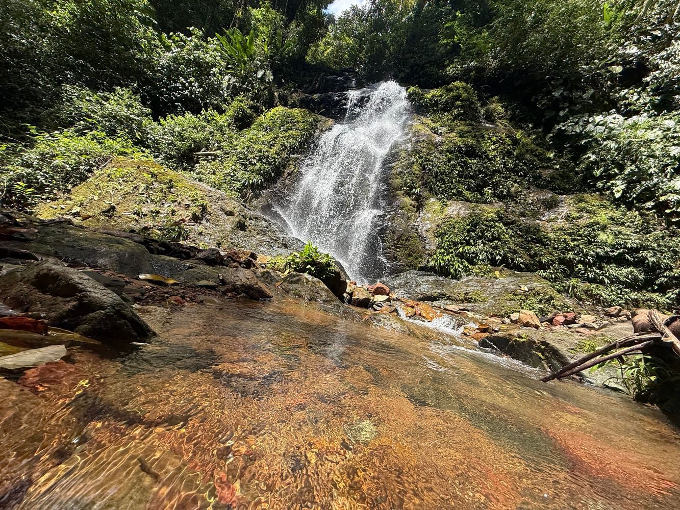 BROWNSBERG NATURE PARK