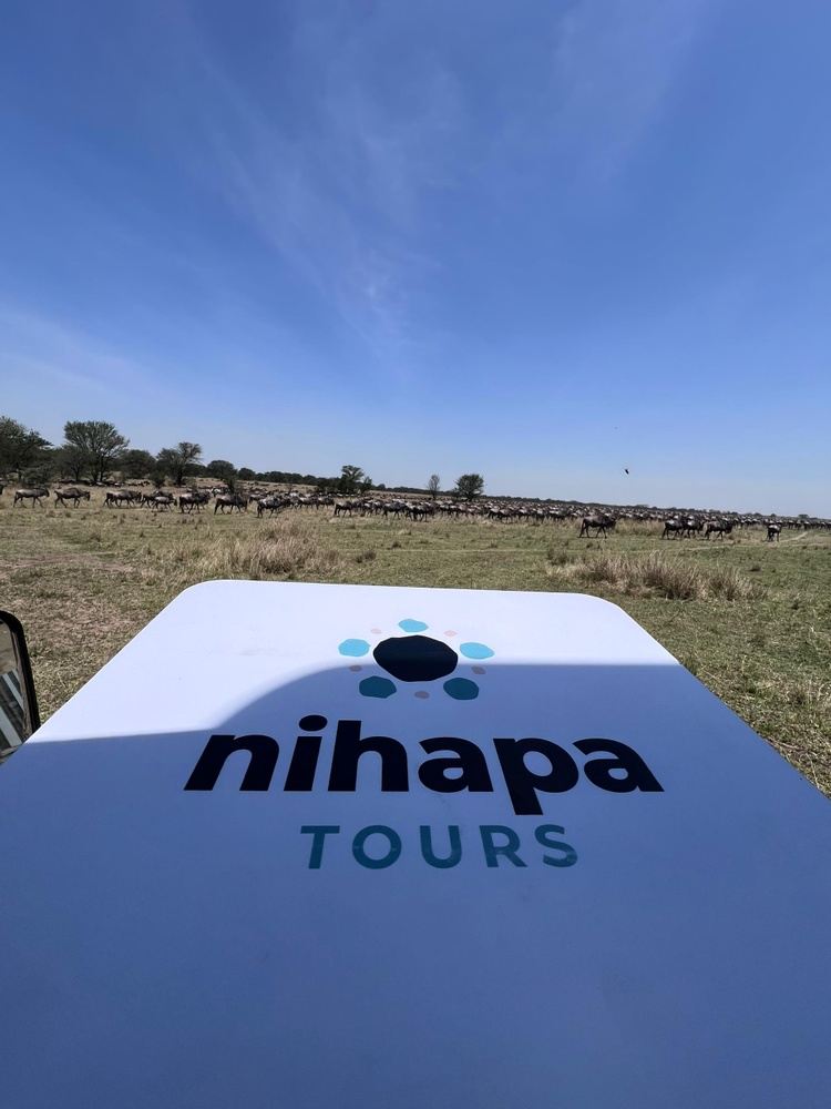 7-Day Tanzania Group Joining Ndutu Calving Season Safari Itinerary