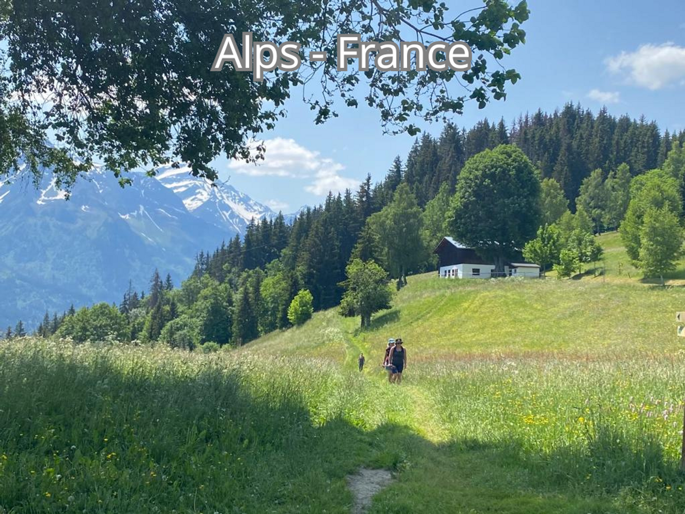 10-14 June 2027 Solo Walking and Yoga Weekend French Alps
