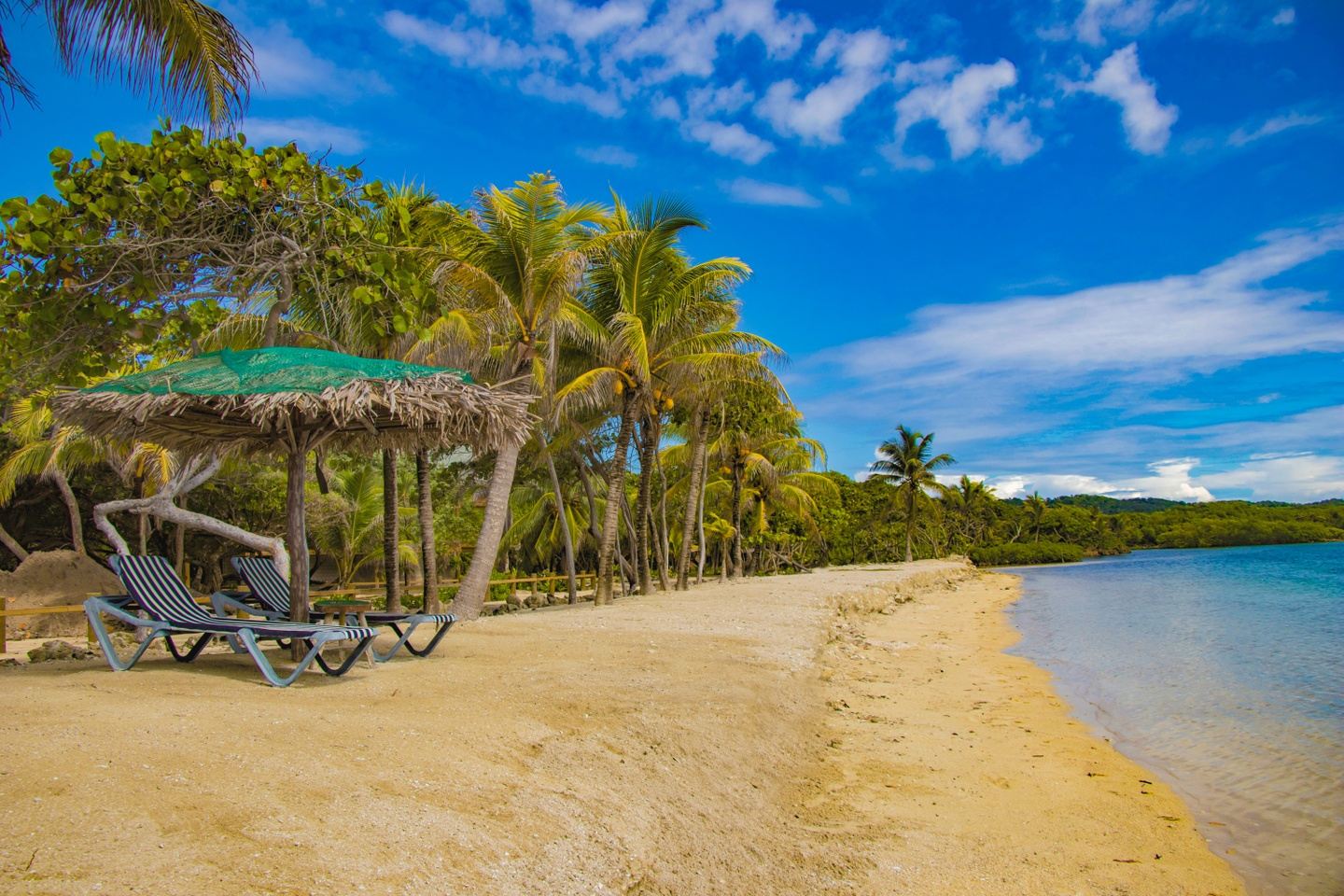 Roatan Dive Adventure