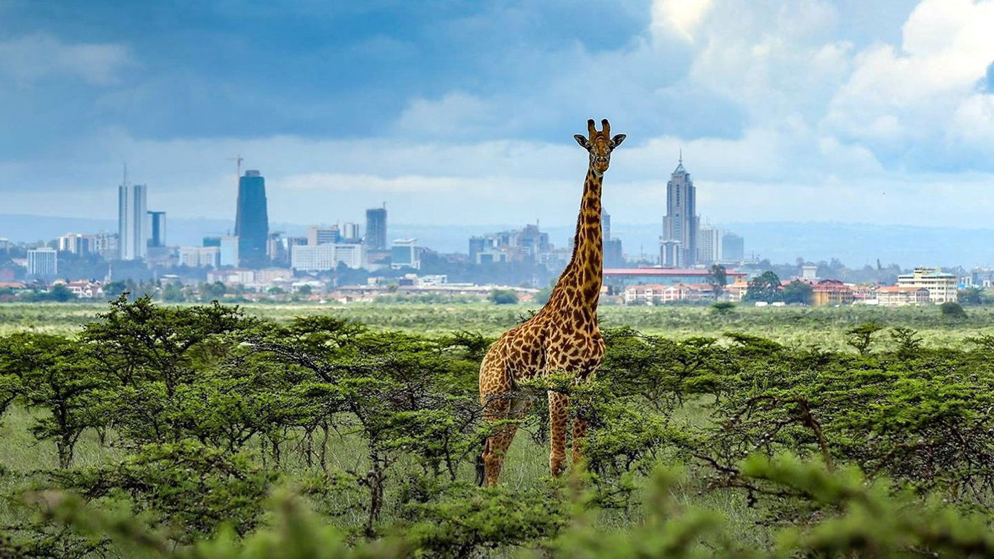 NAIROBI CITY EXPERIENCE