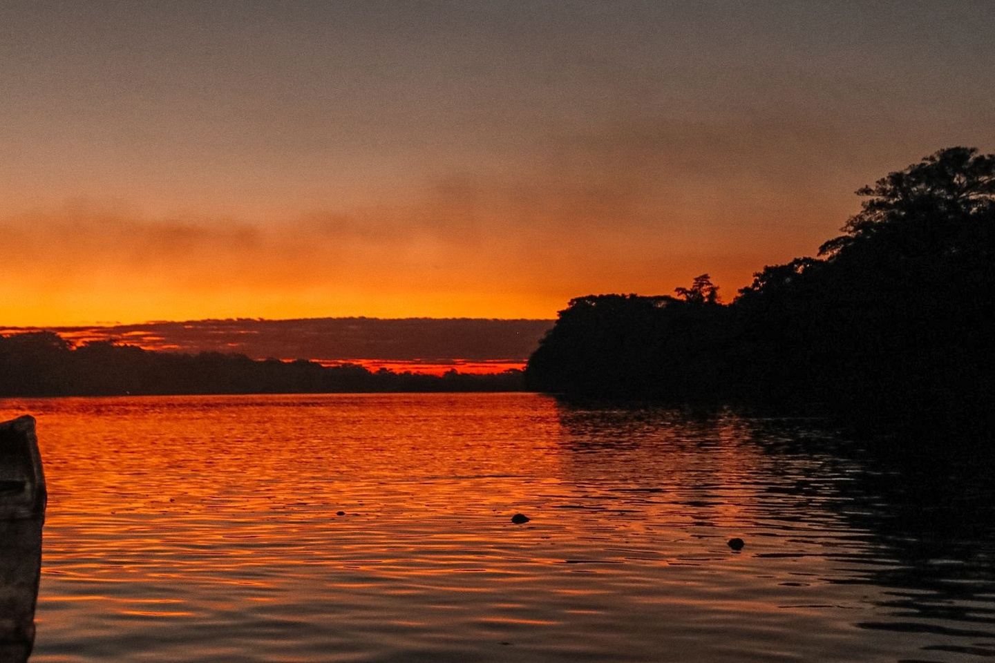 Sunset in Tambopata half day tour