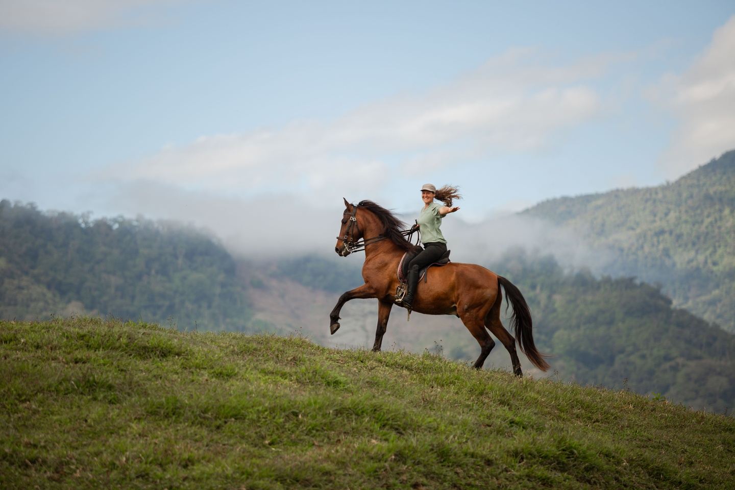 The Balanced Equestrian