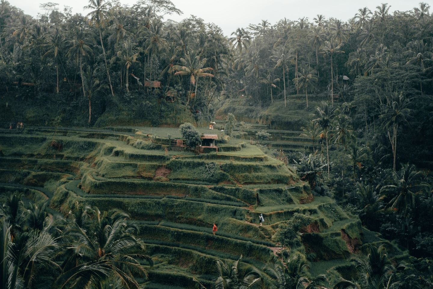 Saltus Grammar School Bali Trip | June 2027