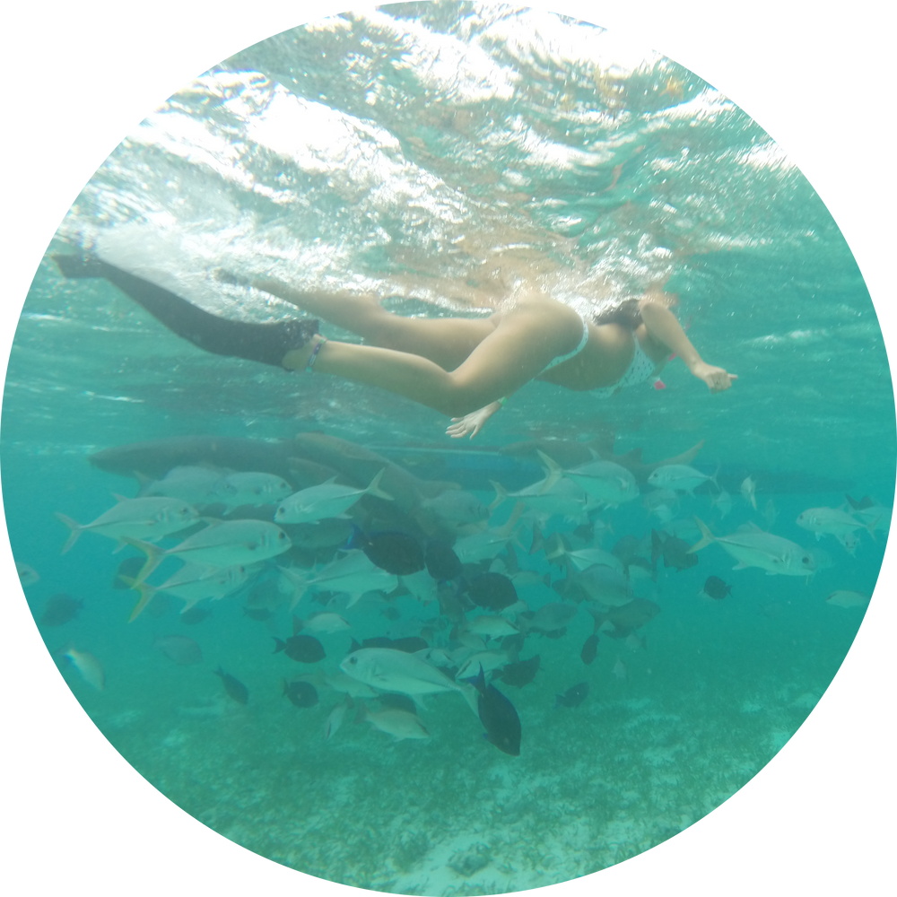 Caye Caulker Snorkeling Experience with A Native