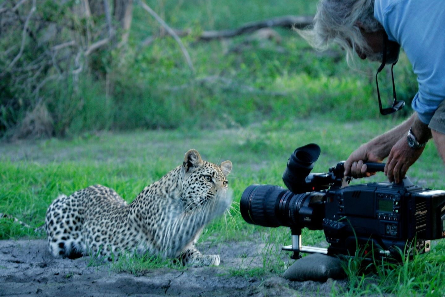 12 DAYS FILM / TANZANIA WILDLIFE FILM SAFARI