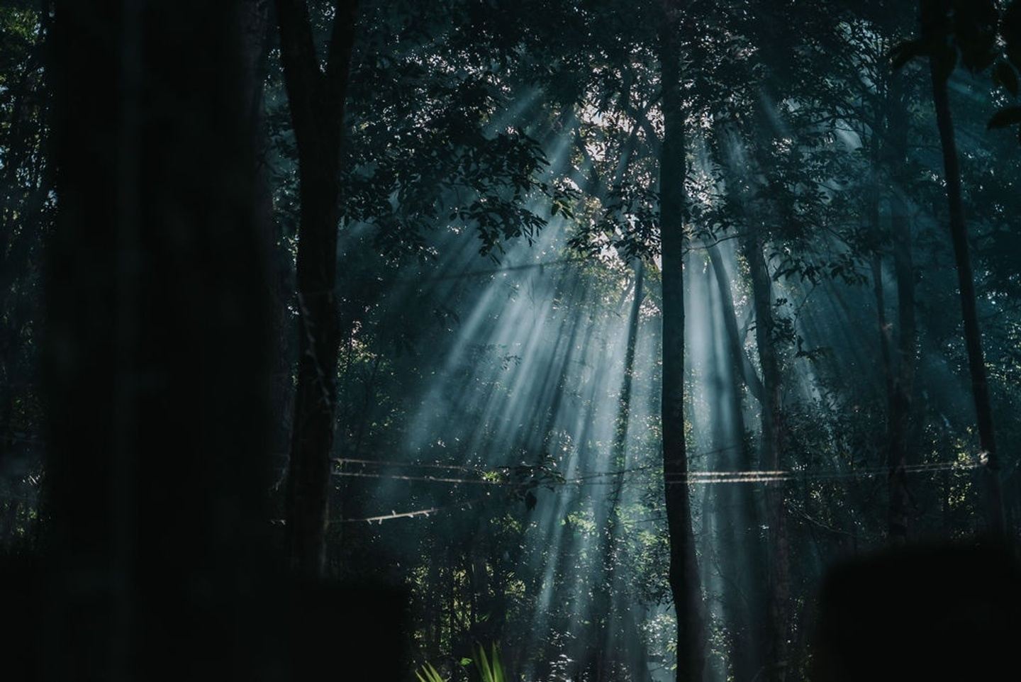 Awaken to (your) Nature in Puerto Morelos, Quintana Roo, Mexico